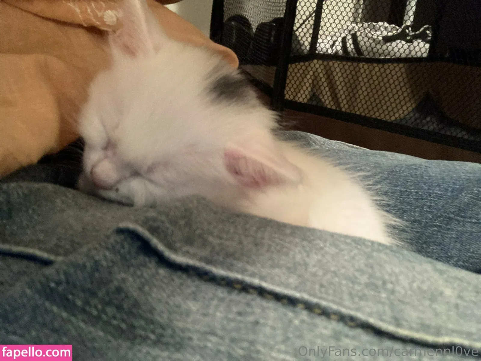 carmennl0ve Onlyfans Photo Gallery 