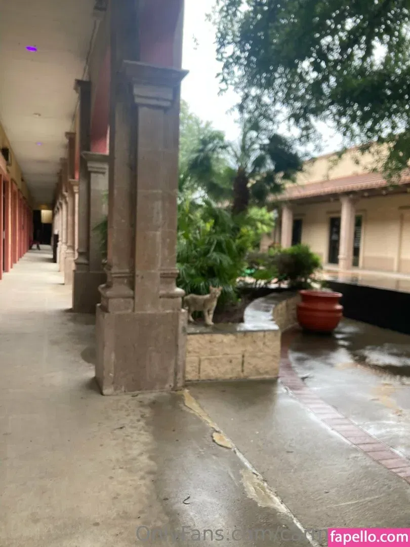 carmennl0ve Onlyfans Photo Gallery 