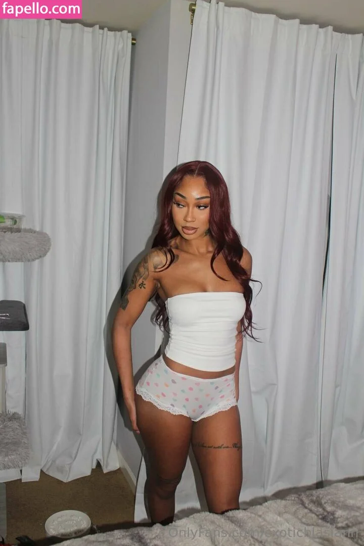 exoticblasiann Onlyfans Photo Gallery 