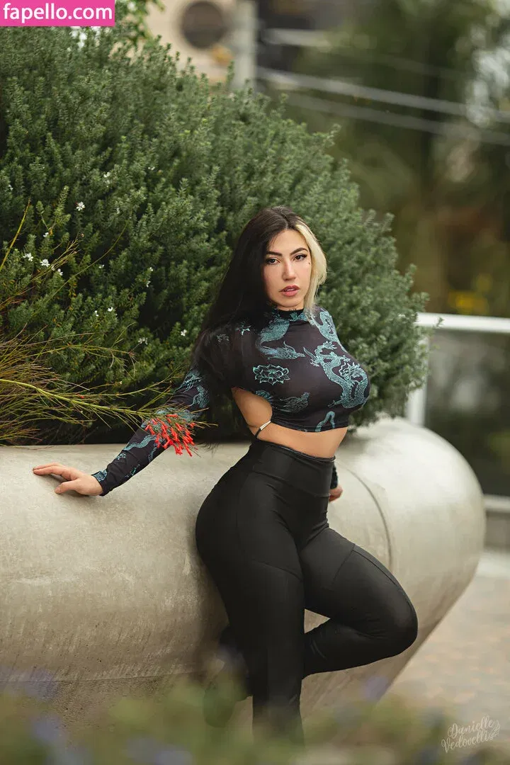 Danievedo Onlyfans Photo Gallery 