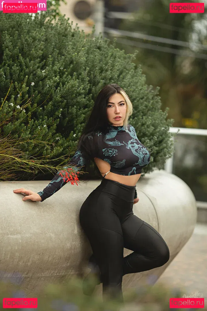 Danievedo Onlyfans Photo Gallery 