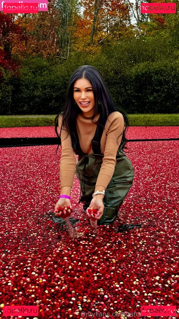 tsfoxyanastasia Onlyfans Photo Gallery 