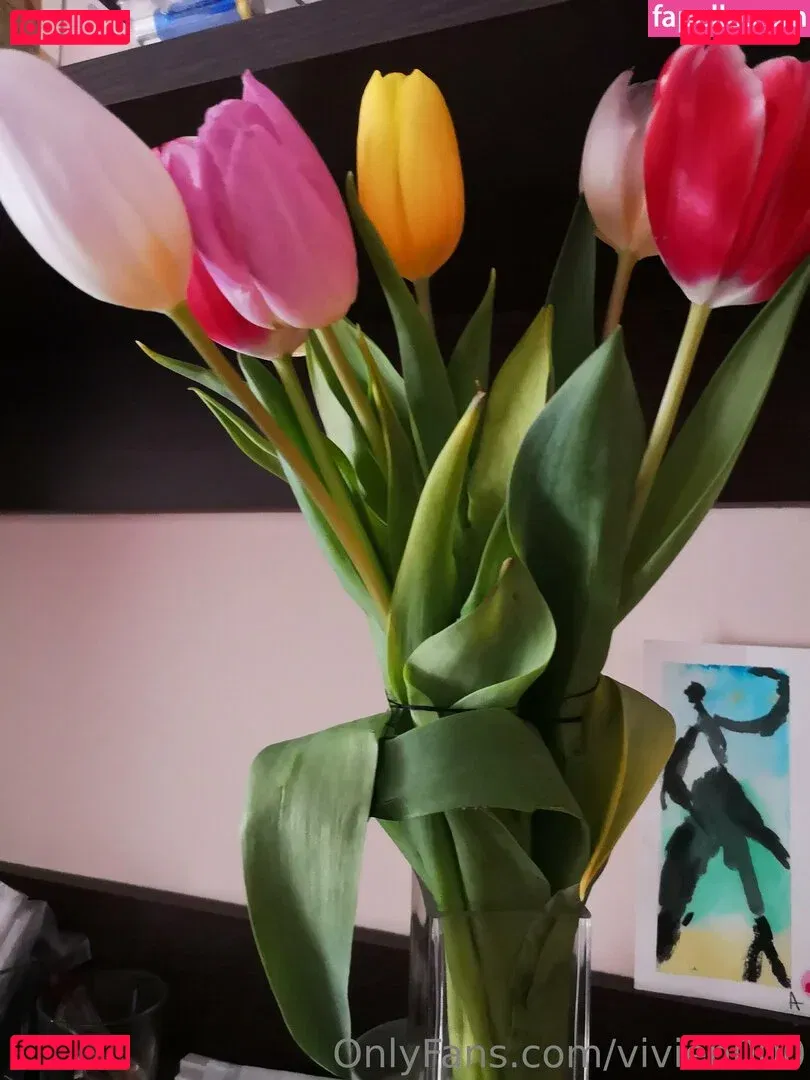 vivien6969 Onlyfans Photo Gallery 