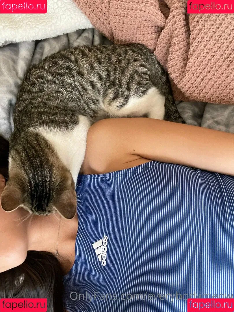 everybodymeow Onlyfans Photo Gallery 