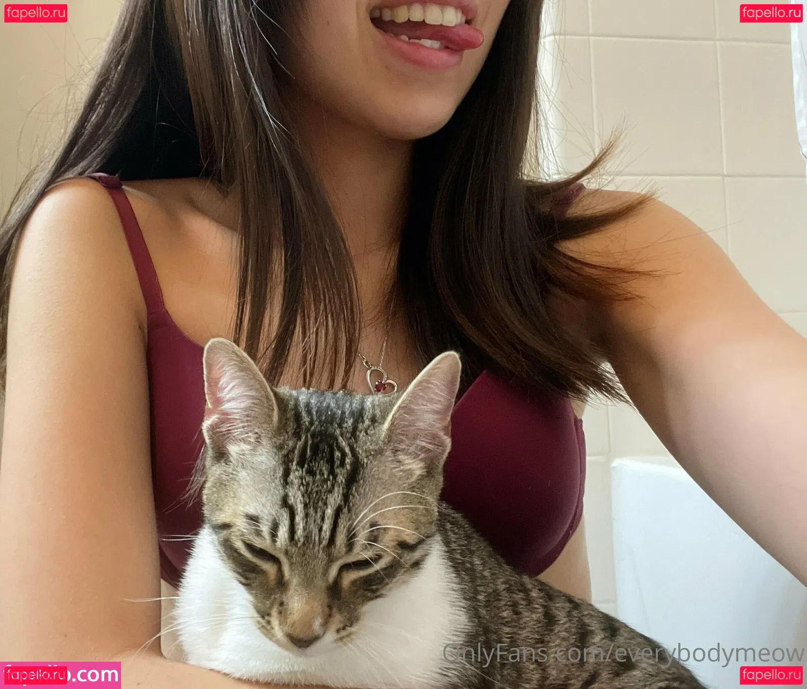 everybodymeow Onlyfans Photo Gallery 