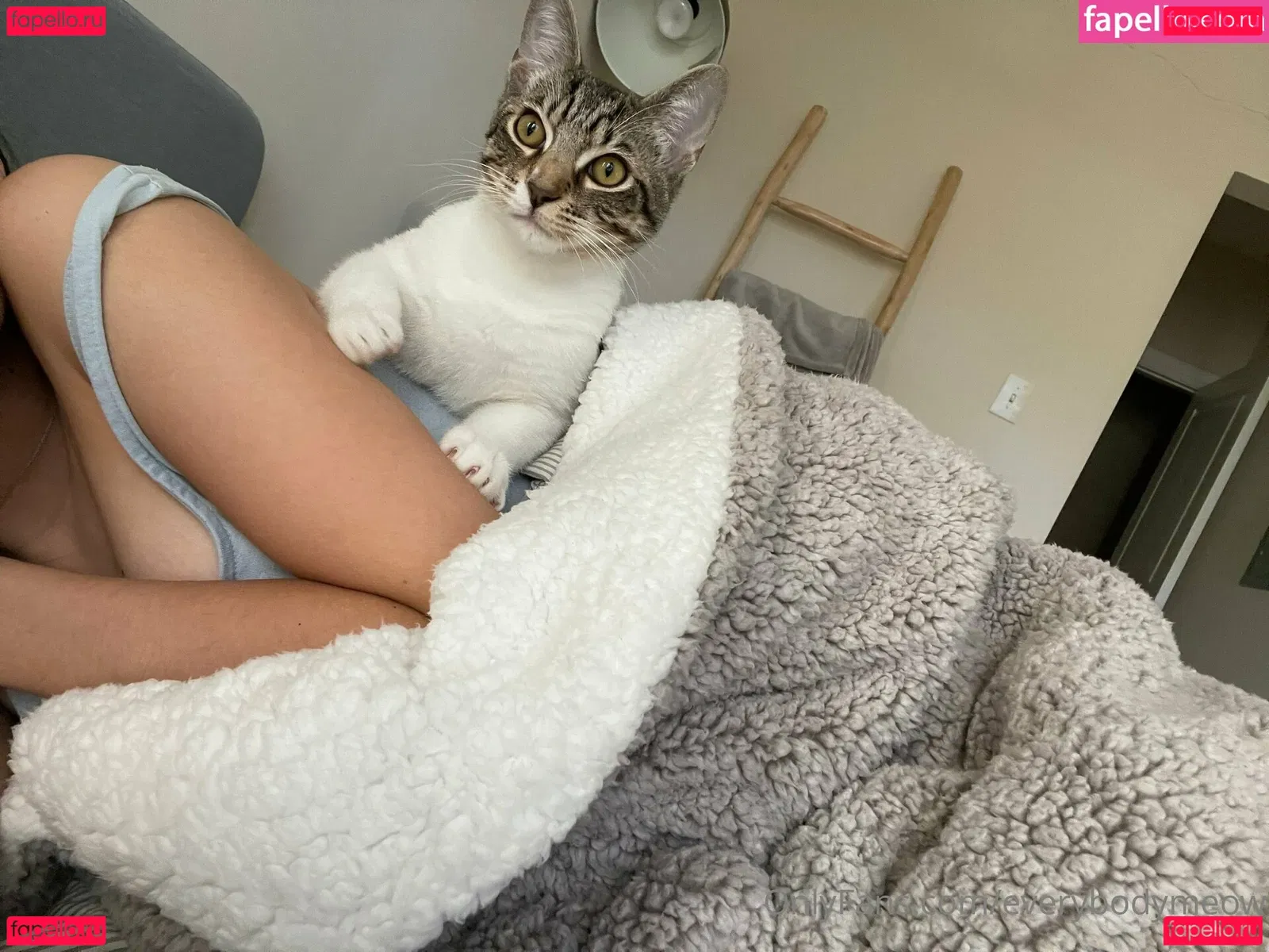 everybodymeow Onlyfans Photo Gallery 