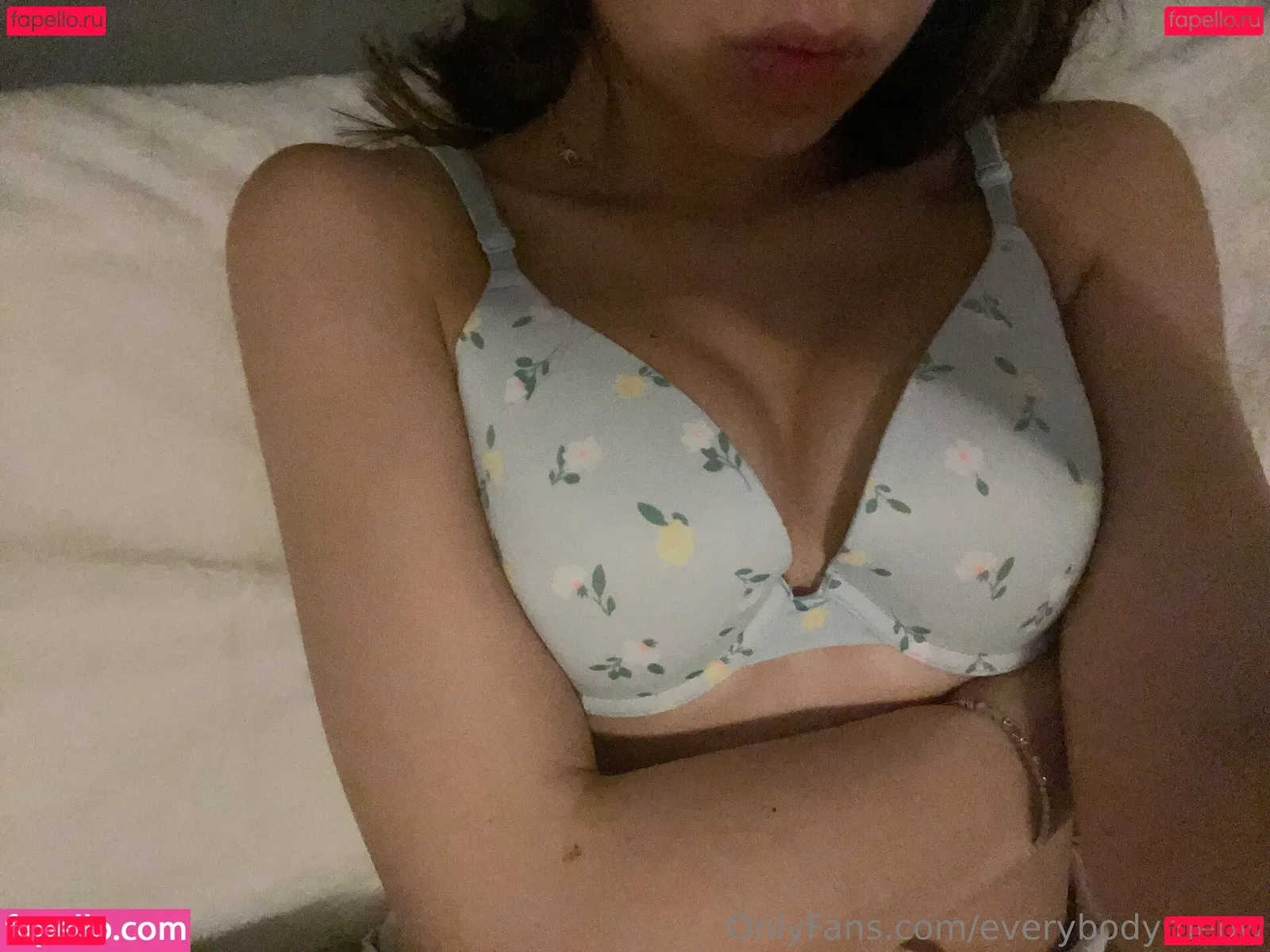 everybodymeow Onlyfans Photo Gallery 