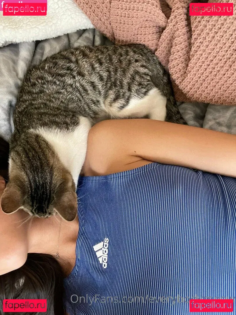 everybodymeow Onlyfans Photo Gallery 