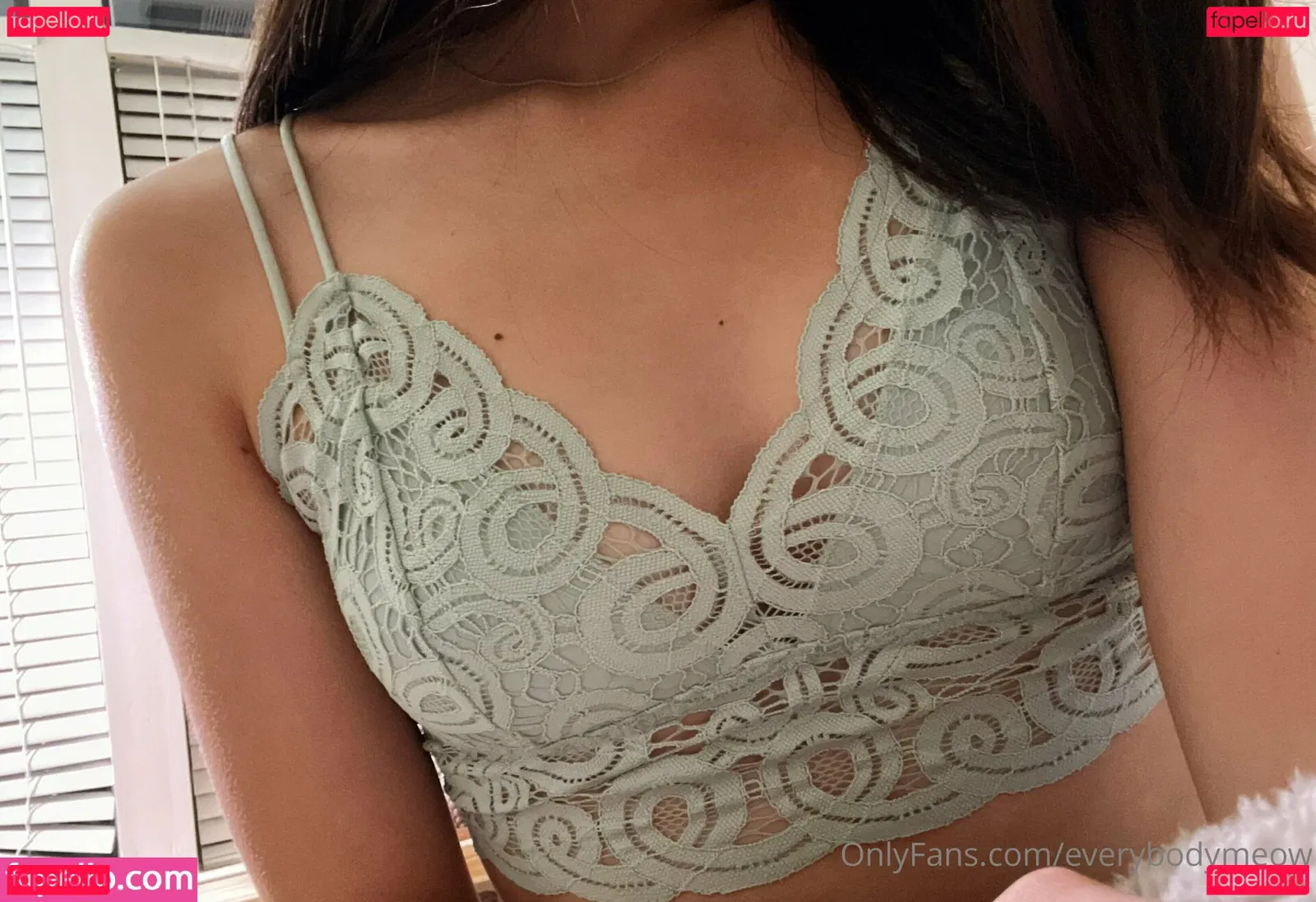 everybodymeow Onlyfans Photo Gallery 