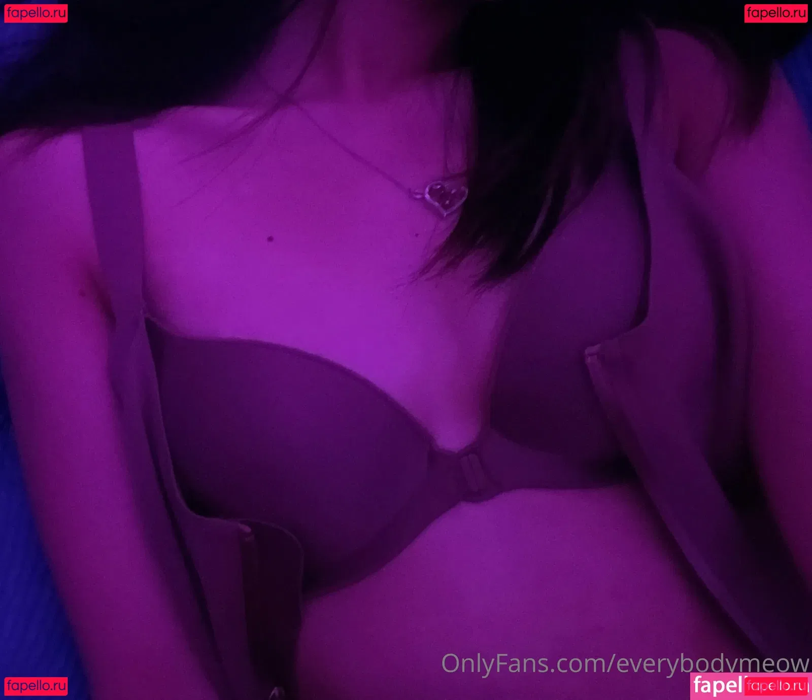 everybodymeow Onlyfans Photo Gallery 