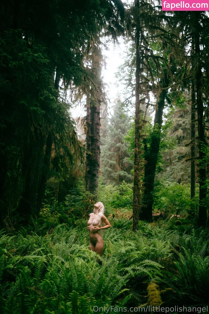 Littlepolilshangel Onlyfans Photo Gallery 