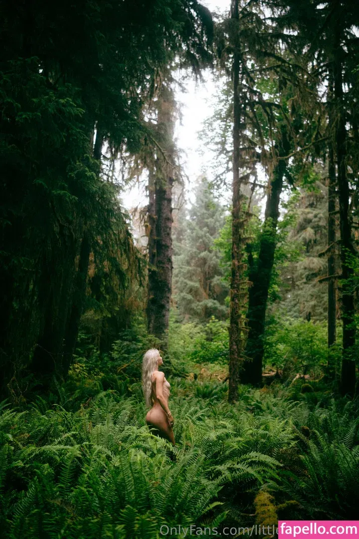 Littlepolilshangel Onlyfans Photo Gallery 