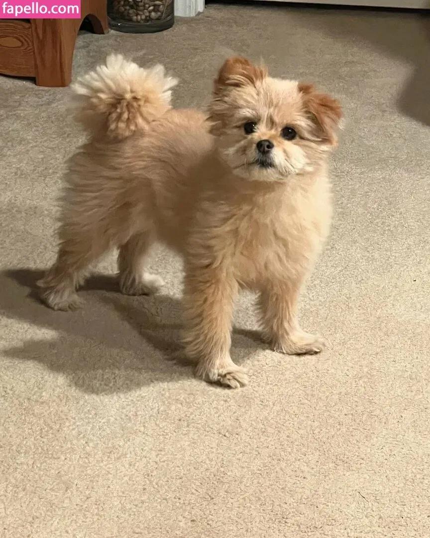 Justhavingfunwithlife Onlyfans Photo Gallery 