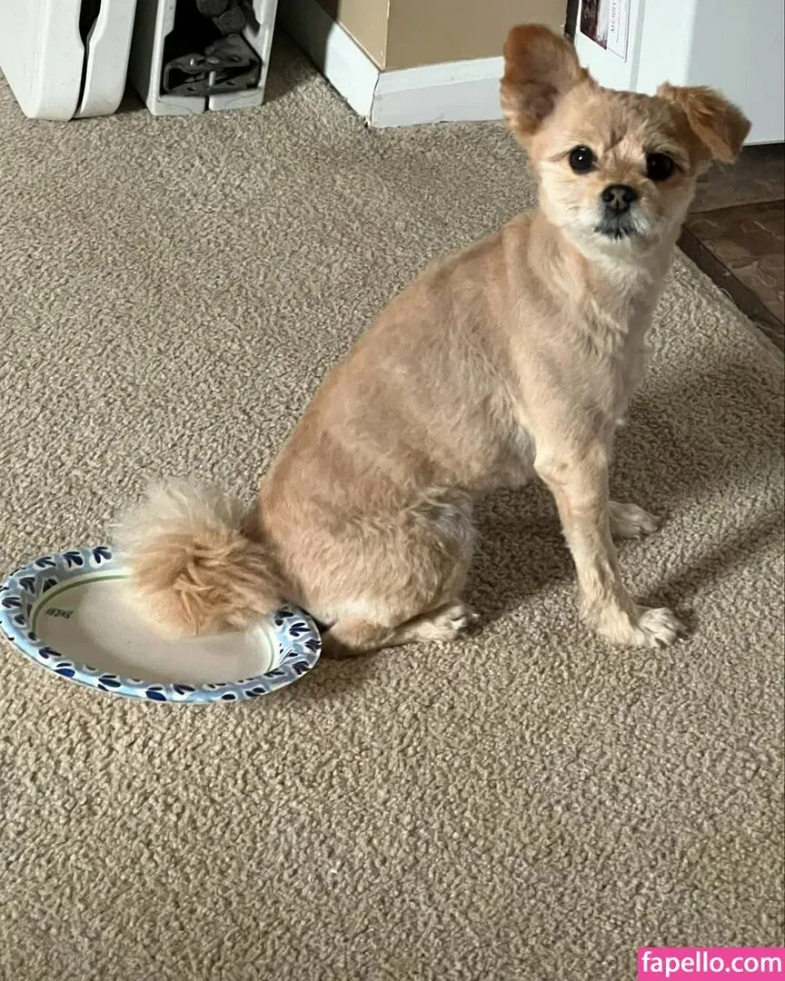 Justhavingfunwithlife Onlyfans Photo Gallery 