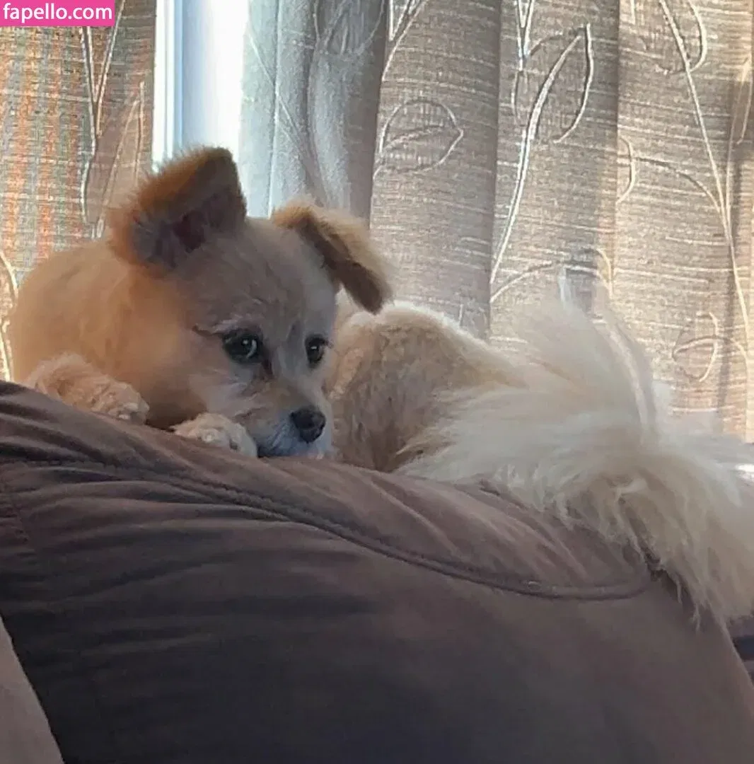 Justhavingfunwithlife Onlyfans Photo Gallery 