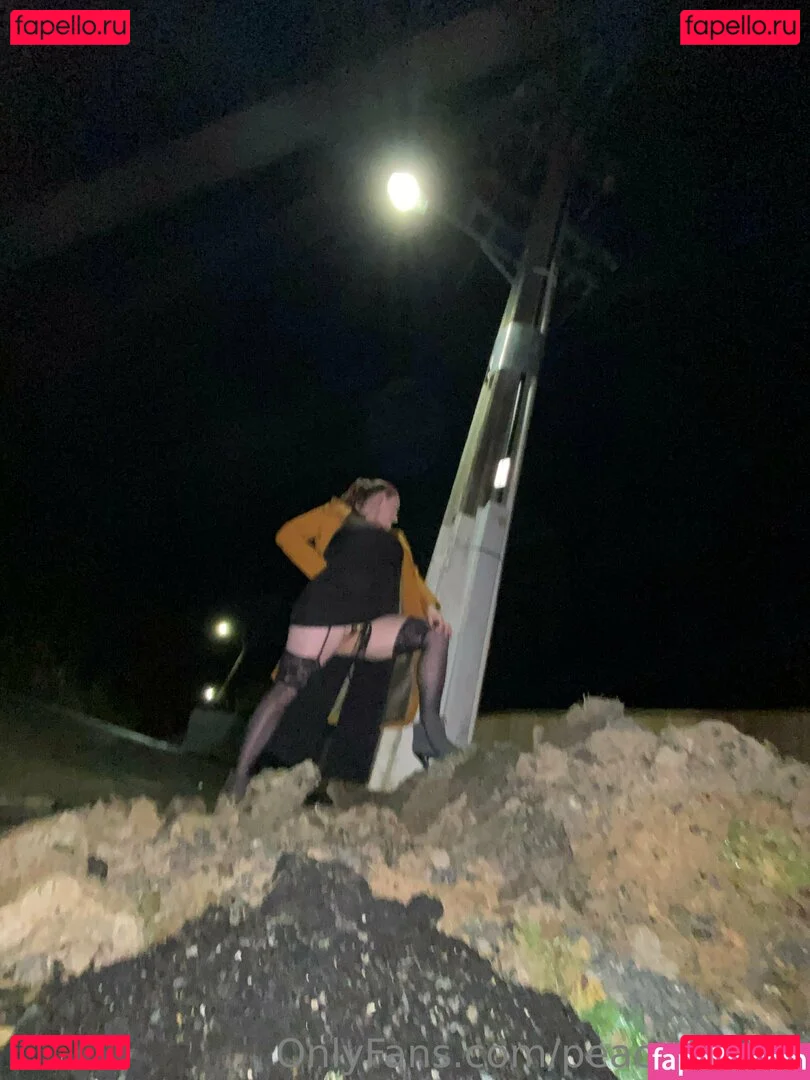 peachvanilla Onlyfans Photo Gallery 