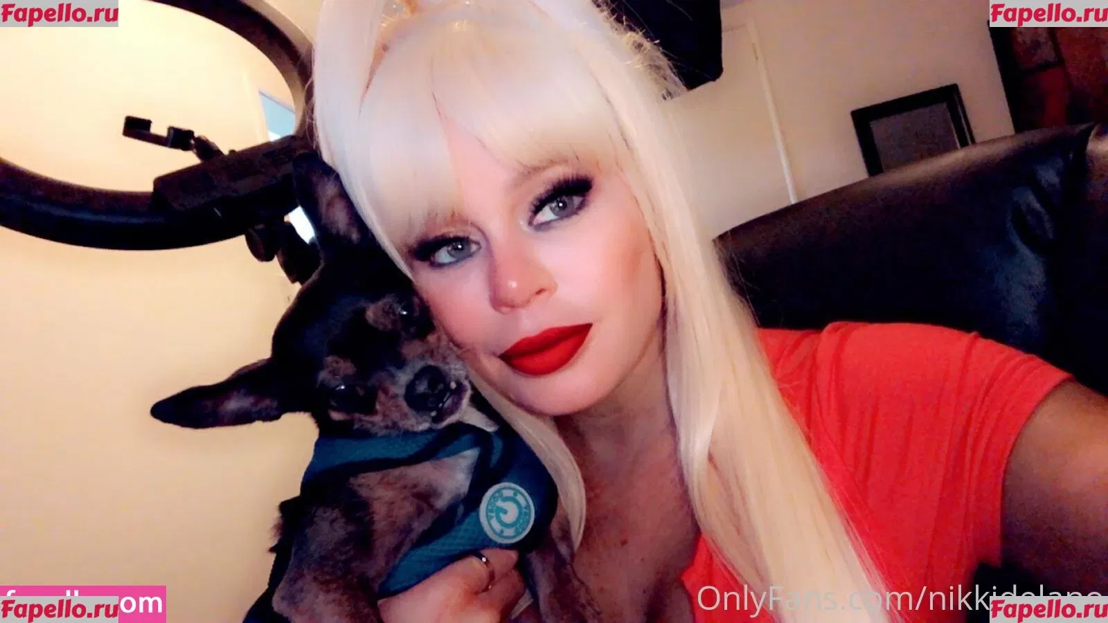 nikkidelano Onlyfans Photo Gallery 