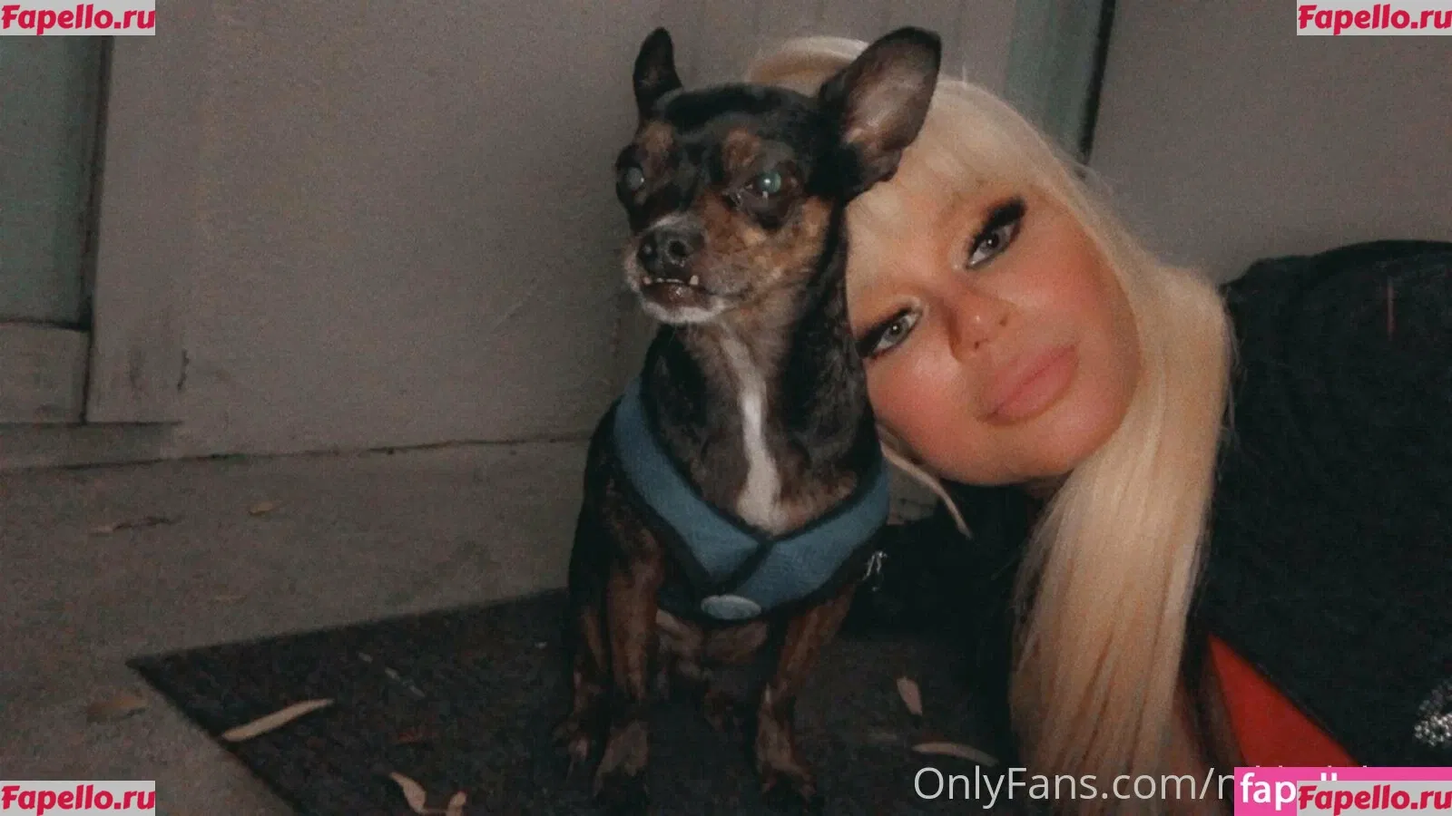nikkidelano Onlyfans Photo Gallery 