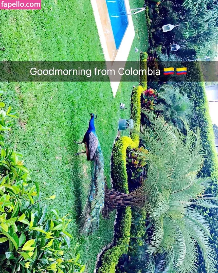 nikkidelano Onlyfans Photo Gallery 