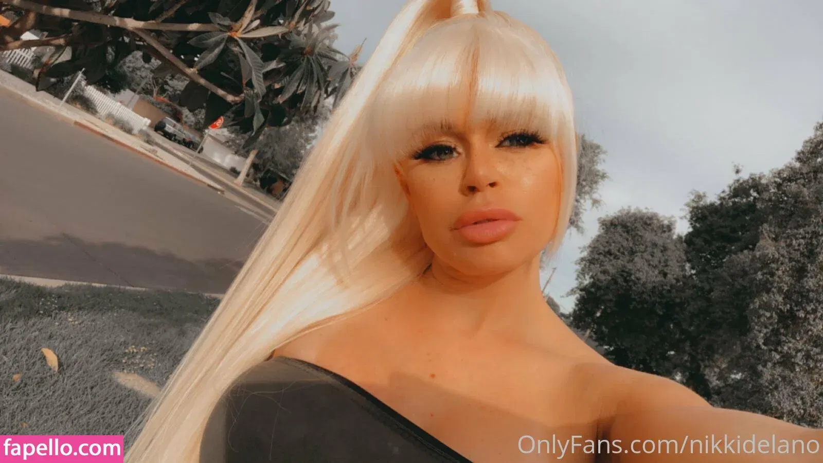 nikkidelano Onlyfans Photo Gallery 