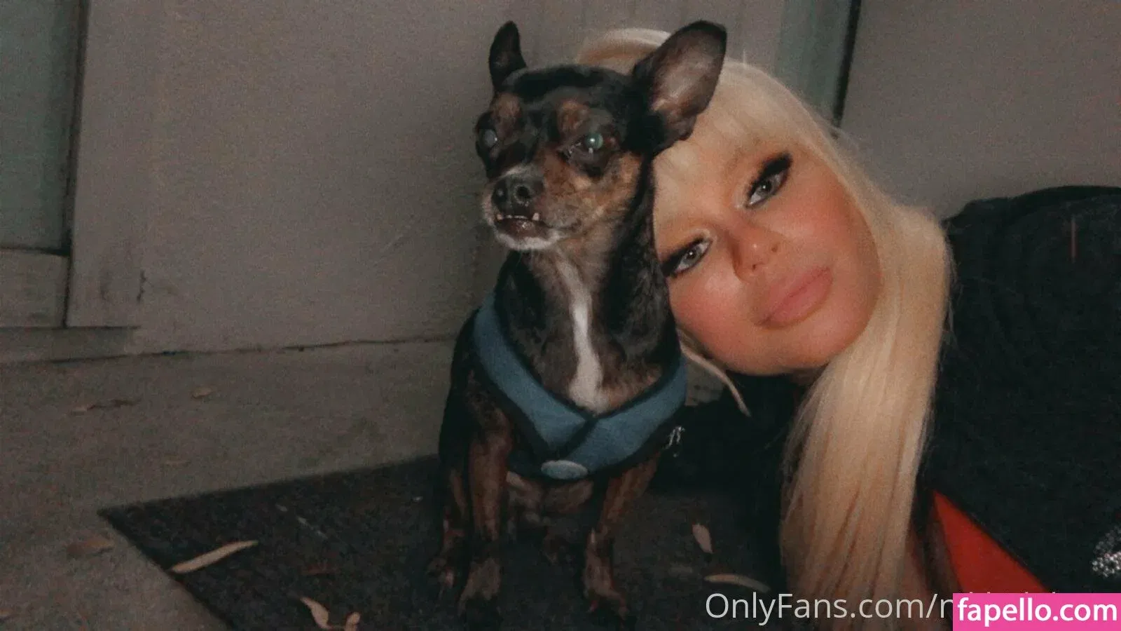 nikkidelano Onlyfans Photo Gallery 