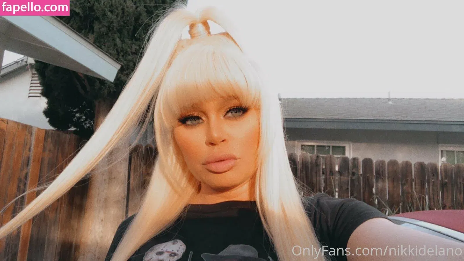 nikkidelano Onlyfans Photo Gallery 