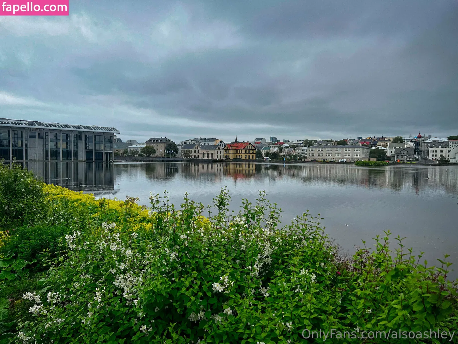 AlsoAshley Onlyfans Photo Gallery 