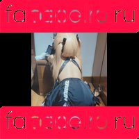 AlsoAshley Onlyfans Photo Gallery 