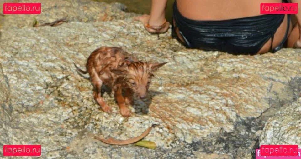 roxysdream Onlyfans Photo Gallery 