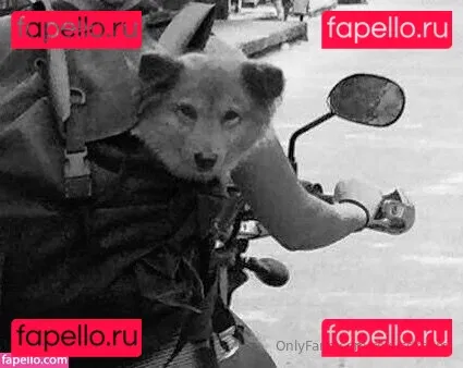 roxysdream Onlyfans Photo Gallery 