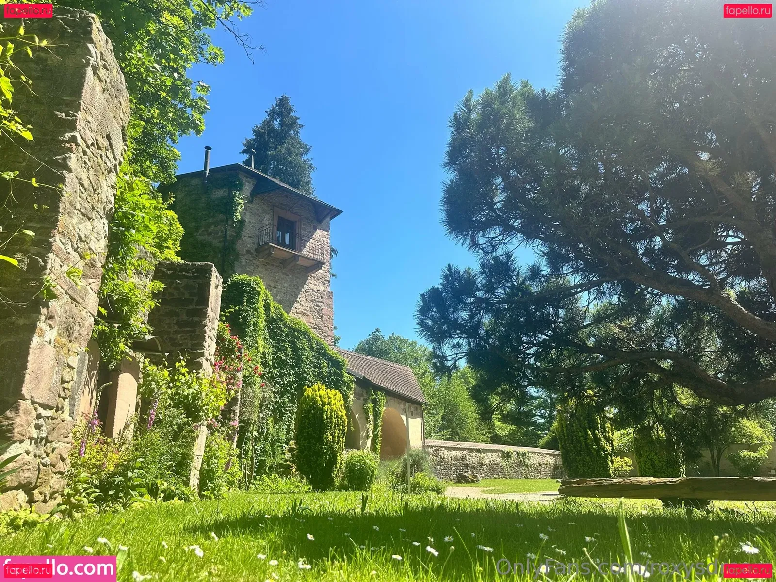 roxysdream Onlyfans Photo Gallery 