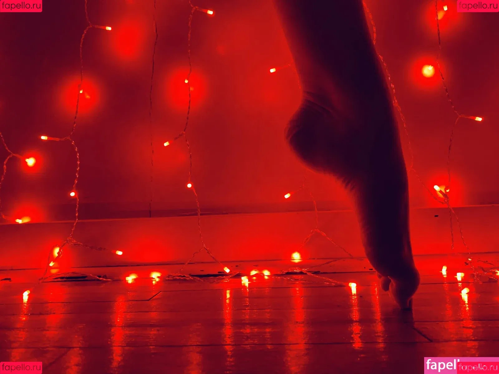 tastytaurustoes Onlyfans Photo Gallery 