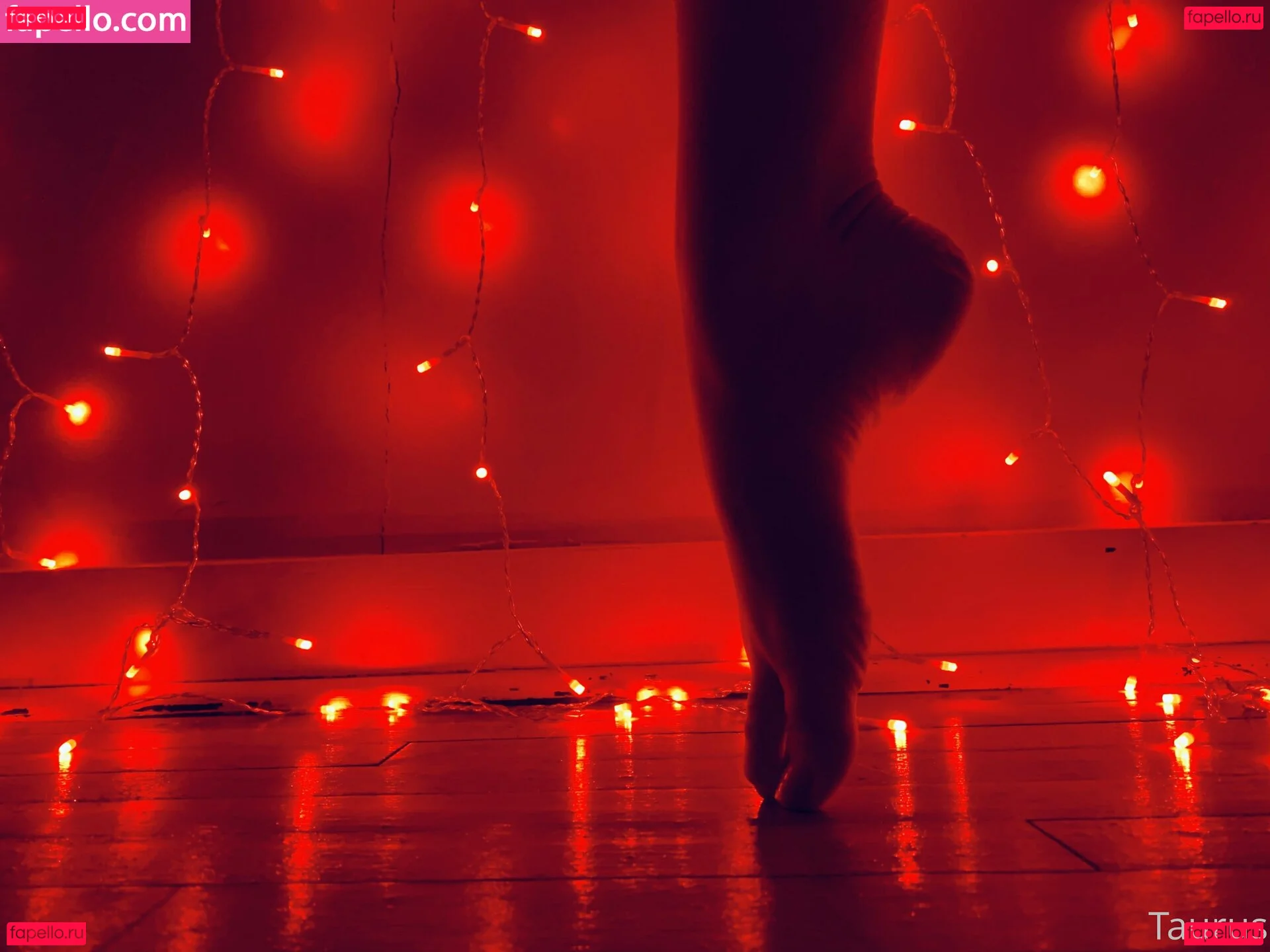 tastytaurustoes Onlyfans Photo Gallery 