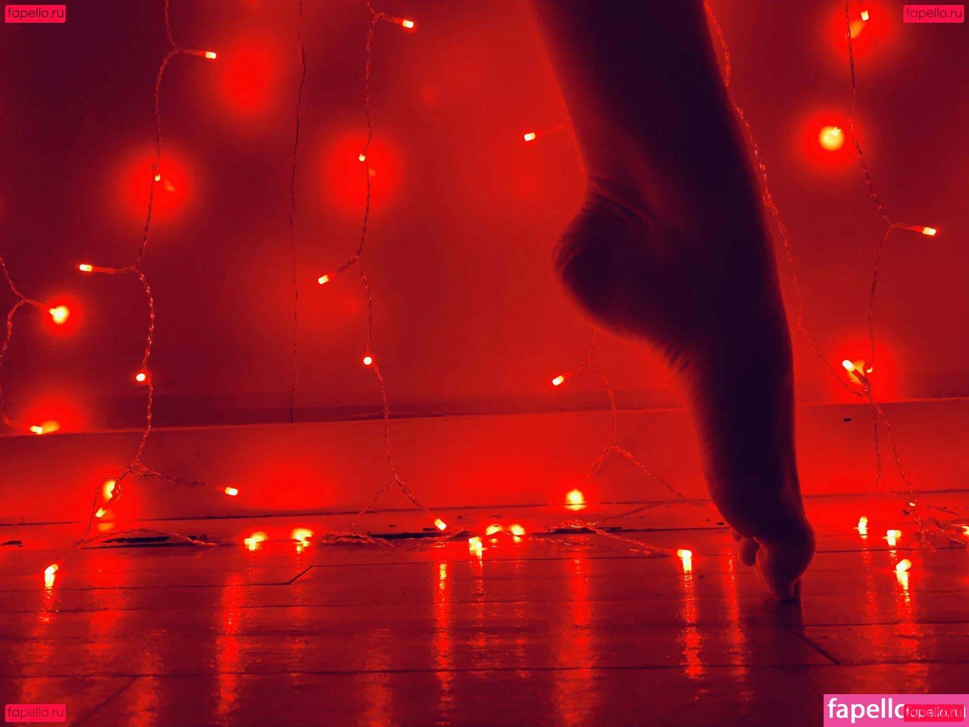 tastytaurustoes Onlyfans Photo Gallery 