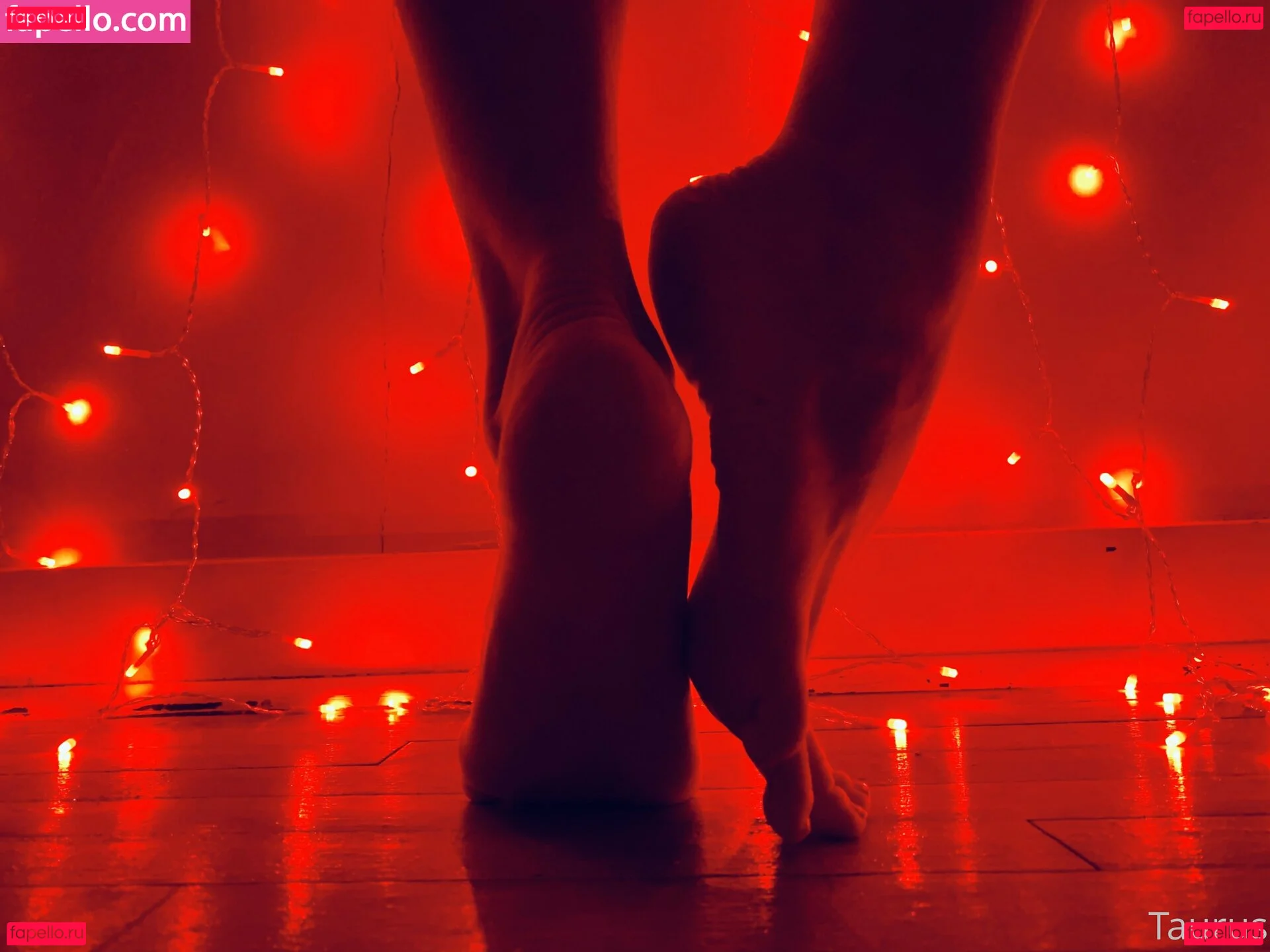 tastytaurustoes Onlyfans Photo Gallery 