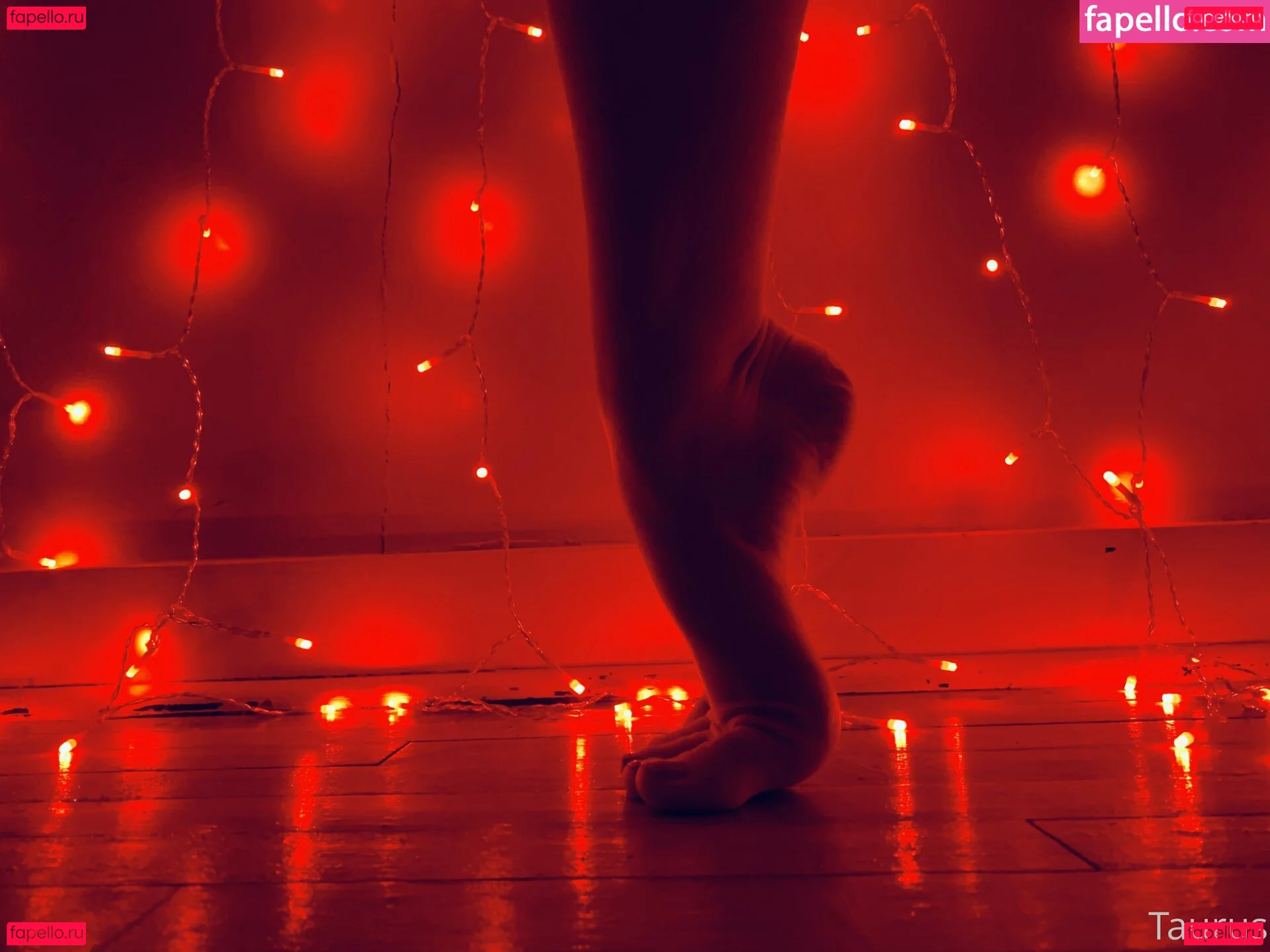 tastytaurustoes Onlyfans Photo Gallery 