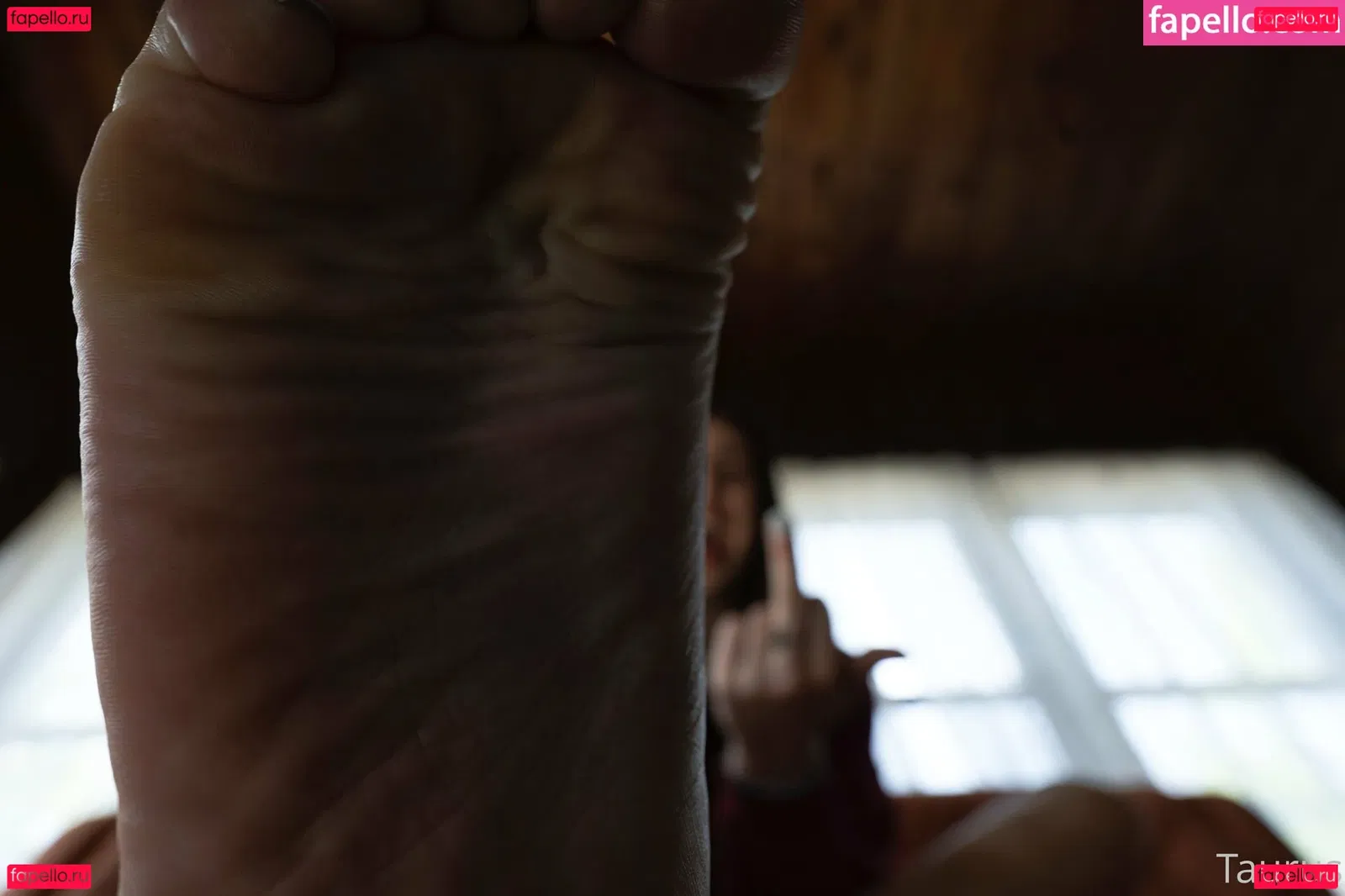 tastytaurustoes Onlyfans Photo Gallery 