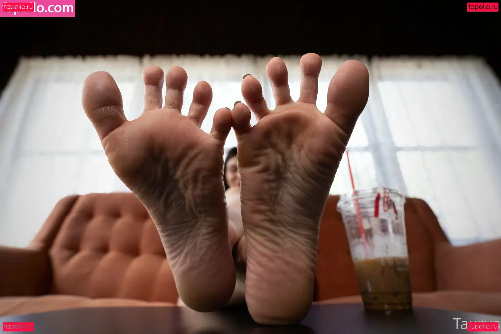 tastytaurustoes Onlyfans Photo Gallery 