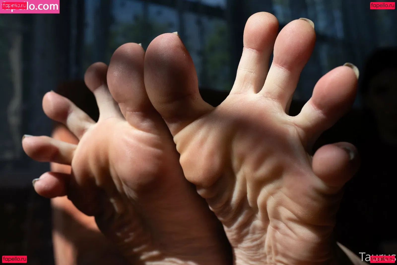 tastytaurustoes Onlyfans Photo Gallery 