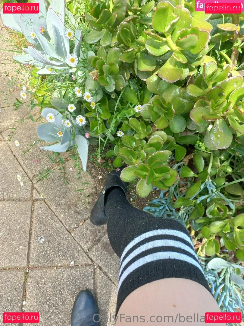 waifubellafree Onlyfans Photo Gallery 