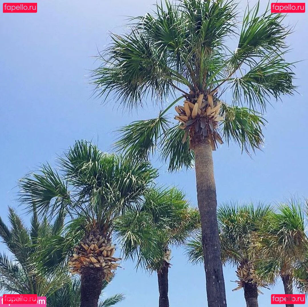 Michelle Balderrama Onlyfans Photo Gallery 