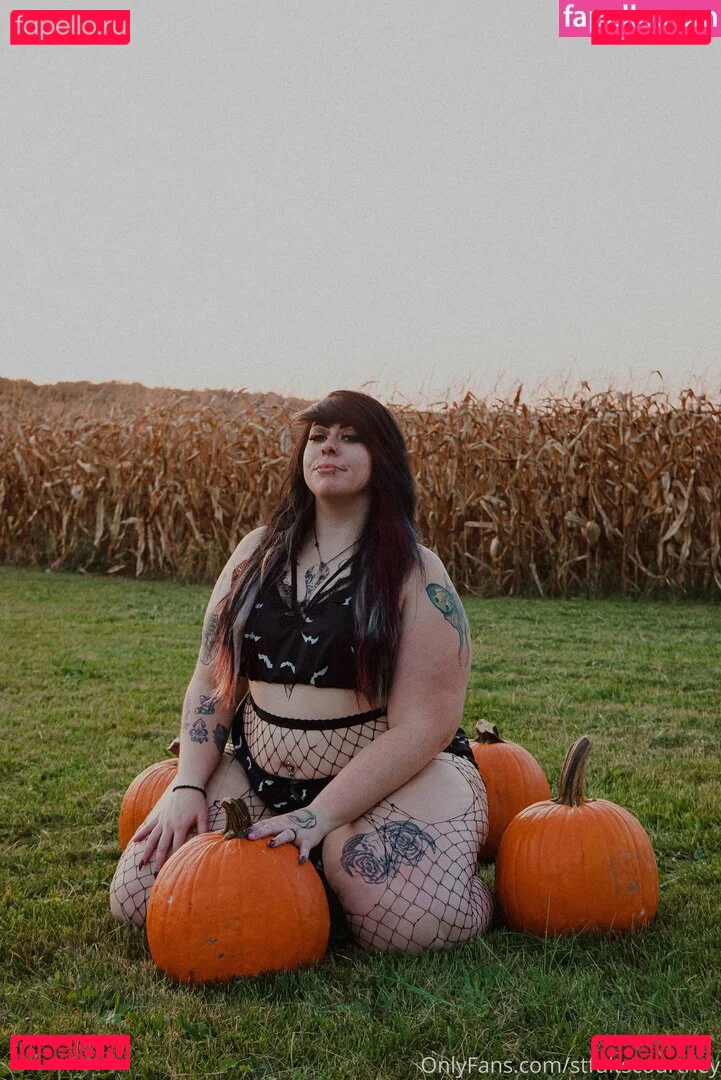 stfuitscourtney Onlyfans Photo Gallery 