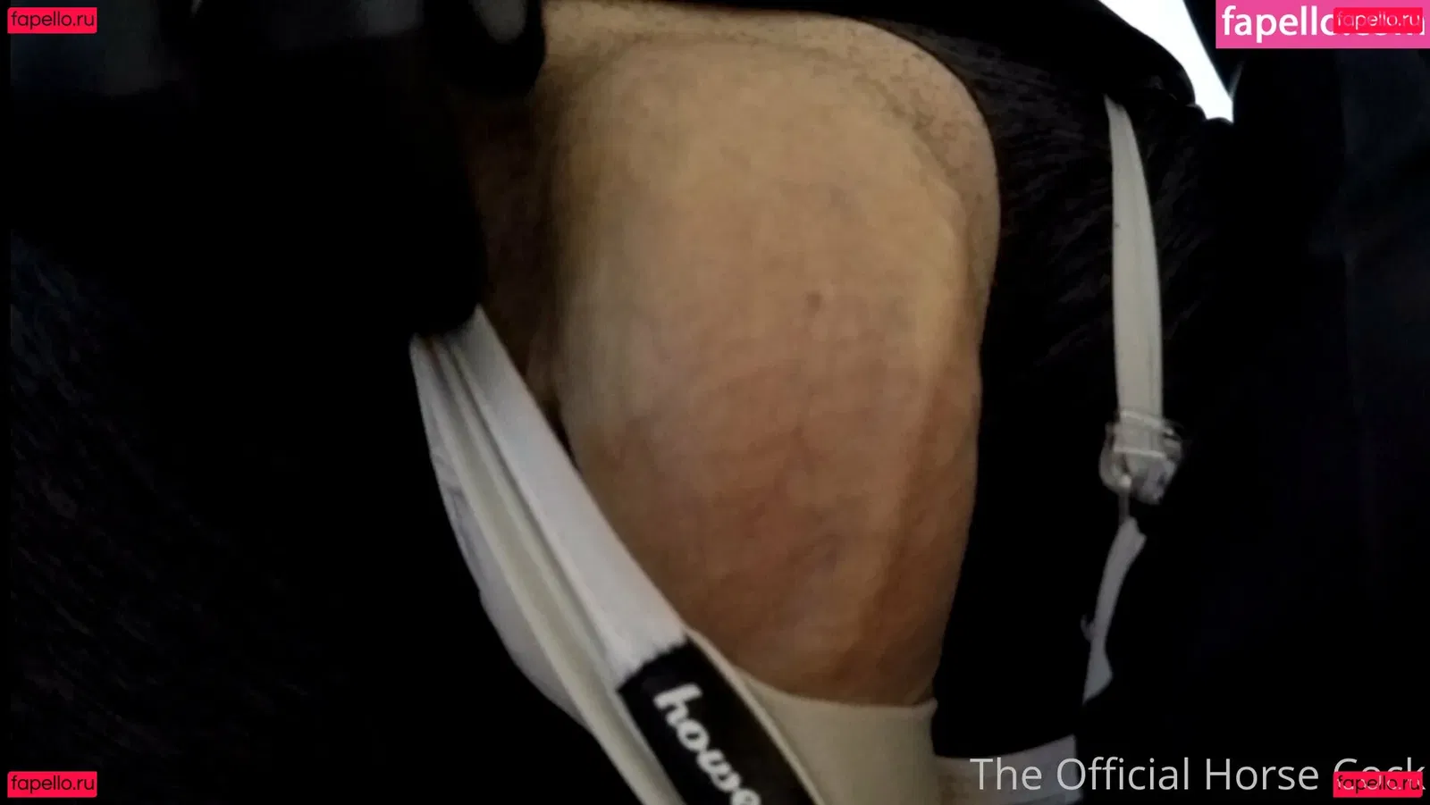 horse_cock Onlyfans Photo Gallery 