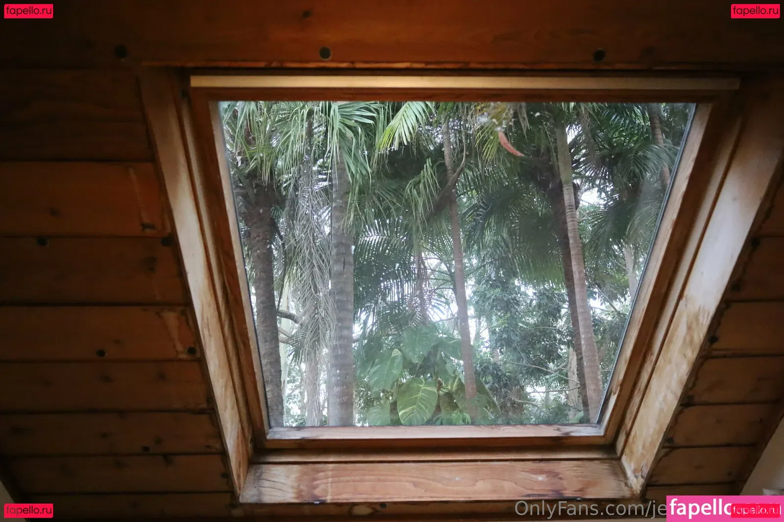 jessiegeorgex Onlyfans Photo Gallery 