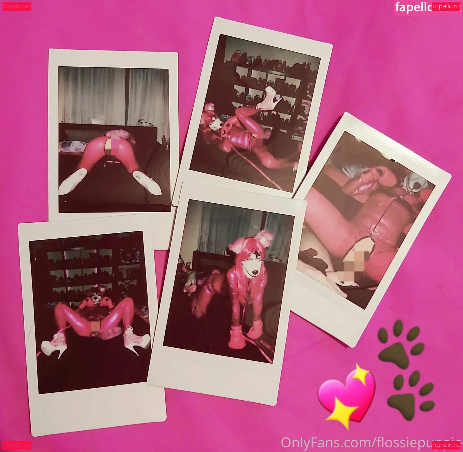 flossiepuppie Onlyfans Photo Gallery 