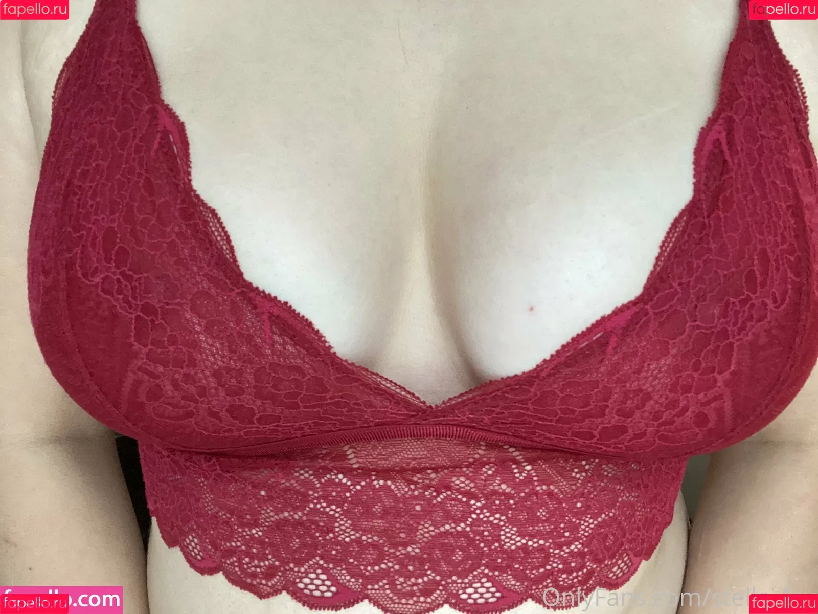 stella_fox Onlyfans Photo Gallery 