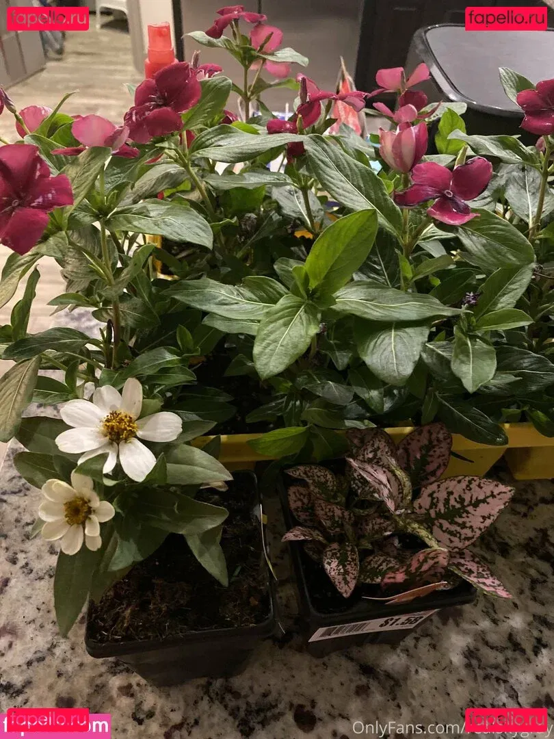 realskygray Onlyfans Photo Gallery 