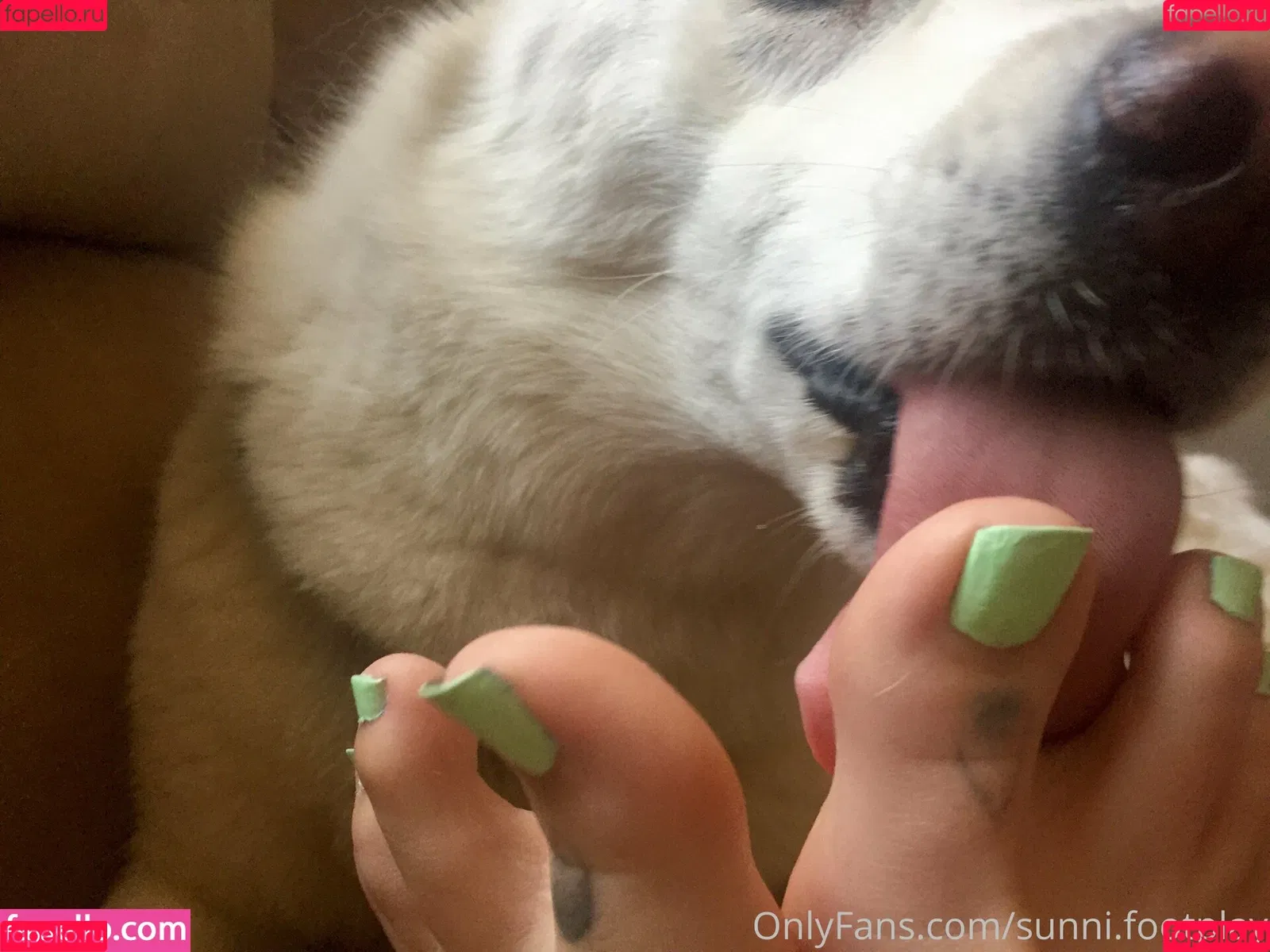 sunni.footplay Onlyfans Photo Gallery 