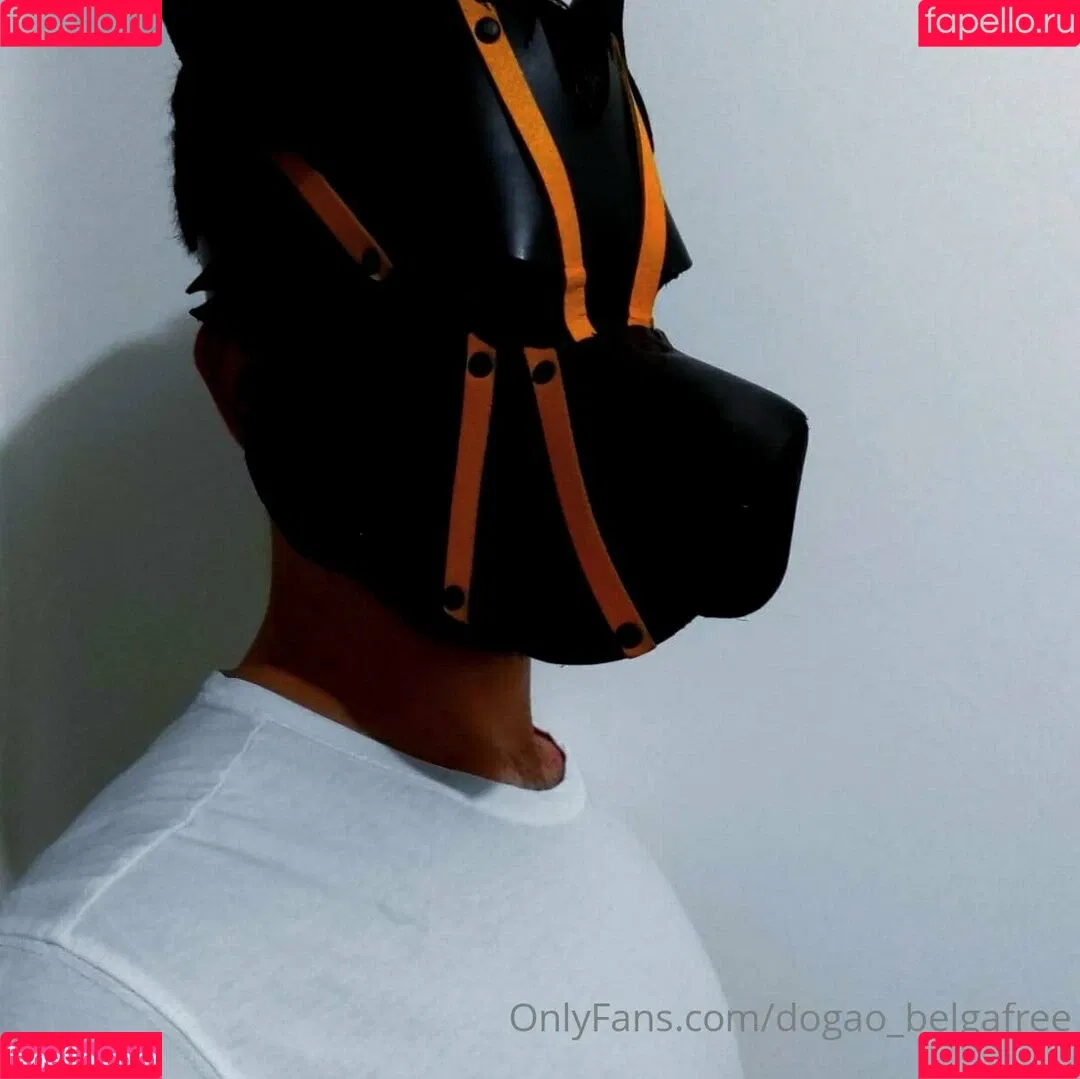 dogao_belgafree Onlyfans Photo Gallery 