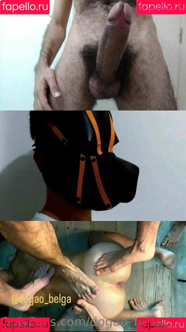 dogao_belgafree Onlyfans Photo Gallery 